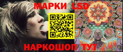 стаф Камышлов