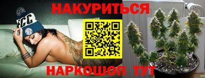 гидра Кандалакша