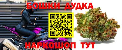 гидра Кандалакша